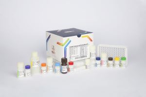 Vitamin D / pishtaz teb / پیشتاز طب / کیت تشخیص طبی 